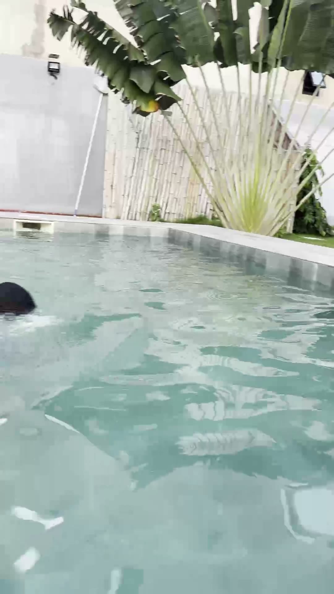 Baignade dans la piscine de Maison Stella à Avepozo, Lomé, Togo (vidéo)